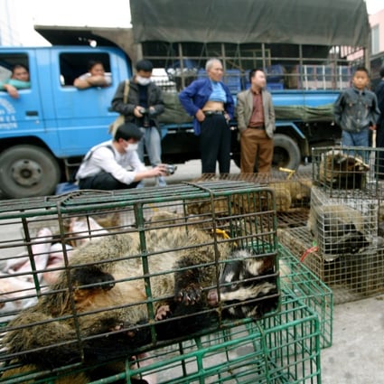 Civet cats on sale at a market in Guangzhou in 2004. The practice of eating wild animals is centuries old in China. Photo: Dustin Shum