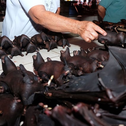 A vendor selling bats at the Tomohon Extreme Meat market in Indonesia. Photo: AFP