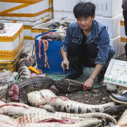 A man chops and cleans crocodiles at Huangsha Seafood Market in Guangzhou in southern China in 2018. Photo: EPA