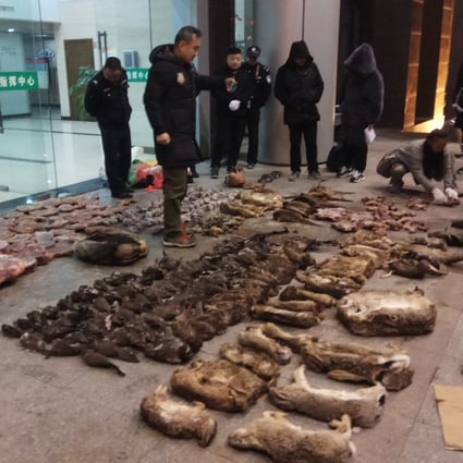 Police in Guangde, Anhui province, look at items seized from a store suspected of selling wildlife. Photo: Anti-Poaching Special Squad via AP