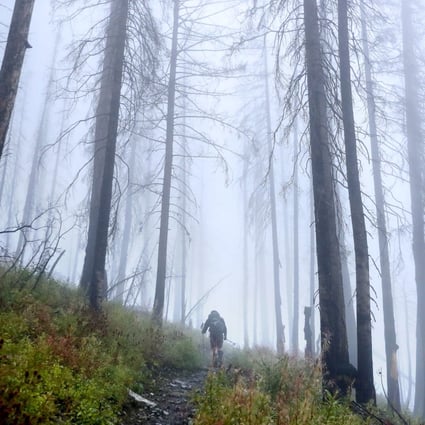 A member of the US Park Service’s revegetation crew hikes through fog among the trees blackened by the Sprague Creek wildfire in Glacier National Park, Montana, on September 17. The crew planted 585 whitebark pine seedlings among the skeletal remains of the forest. With annual average temperatures in Montana rising almost 1.6 degrees Celsius since 1950, species like the whitebark pine are now facing increased threats of infections, insect infestations and wildfire. Photo: Getty Images/AFP