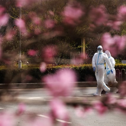 Medical workers walk past a blaze of colour from cherry trees at a hospital in Wuhan. Photo: Xinhua