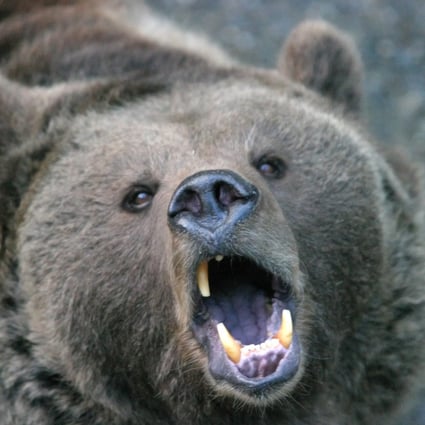 Every major global market is in bear territory except for China. Photo: Getty Images