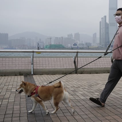 Coronavirus crisis in Hong Kong if pets can be infected, the people