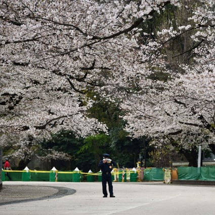 Security guards patrol a cherry blossom viewing spot in Ueno Park in Tokyo, Japan. April is Japan’s peak cherry blossom, or sakura, season, but the coronavirus has made tourists stay at home. Photo: AFP