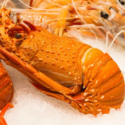 Lobster for sale at Sydney Fish Market in Australia. Photo: Shutterstock