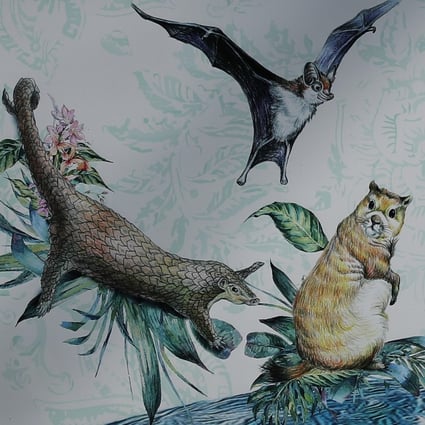 Coronavirus: what next for China's wildlife trade ban? | South China  Morning Post