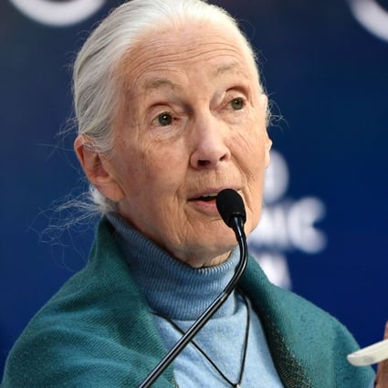 Jane Goodall speaks at the World Economic Forum in Davos, Switzerland, in January 2020. Photo: AFP