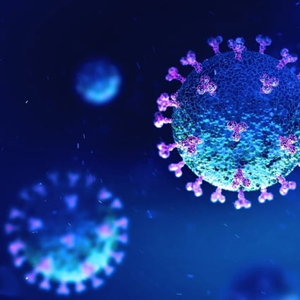 The study suggests coronavirus can infect T cells. Photo: Shutterstock