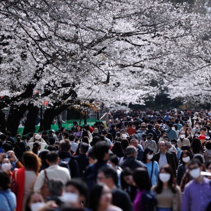 Crowds flock to Ueno Park in Tokyo to admire cherry blossoms on March 12. Japan has not followed other Asian countries in adopting aggressive testing to counter the coronavirus outbreak. Photo: Reuters