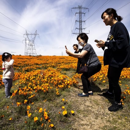 A family takes pictures in a field of blooming poppies in Lancaster, California, on April 17. The new RT.live website, introduced by Instagram co-founders Kevin Systrom and Mike Krieger, is expected to help citizens understand whether they are in danger, as parts of the US economy reopen amid the Covid-19 pandemic. Photo: EPA-EFE