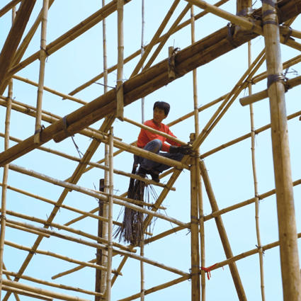 If properly installed, bamboo can be stronger than steel and far more flexible. Photo: Goldthread
