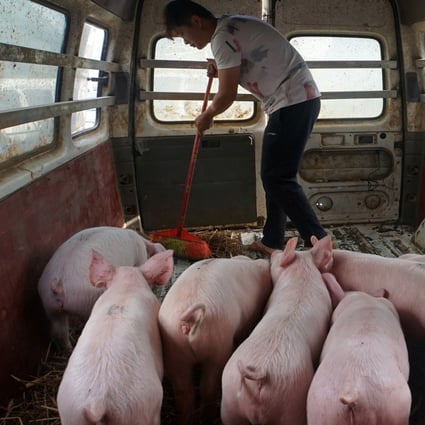 A spike in soybean prices has hit China’s pig farmers who use the protein in animal feed. Photo: Reuters