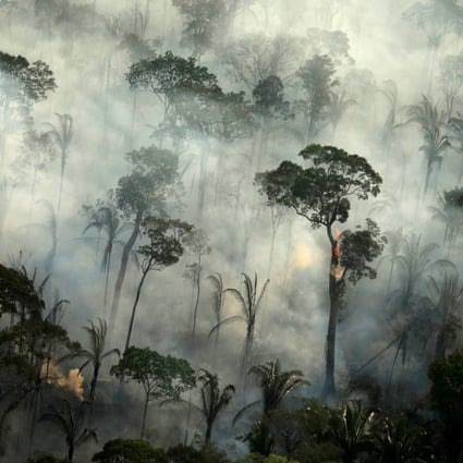 Smoke billows from a fire in an area of the Amazon rainforest near Porto Velho, Rondonia State, Brazil. Photo: Reuters