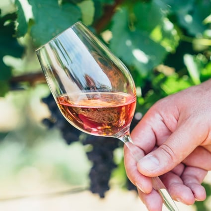 White zinfandel is actually a rosé and vastly outsells red zinfandel. Photo: Shutterstock