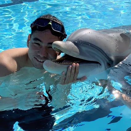 The robotic dolphin could be a replacement for live animals in captivity. Photo: Handout