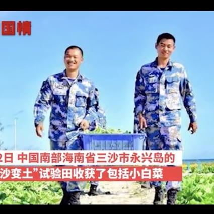 The Chinese navy says it has turned a stretch of beach into a vegetable patch on Woody Island in the South China Sea. Photo: Weibo