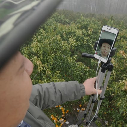 Fruit farmer Zhong Haihui, from from central China's Hunan province, has started travelling around the country to do live-streams from local orchards. Photo: SCMP/Chris Chang