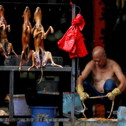 The local government in Yulin, Guangxi Zhuang autonomous region, has never admitted to holding a dog meat festival, saying only a few restaurants and members of the public take part. Photo: Reuters