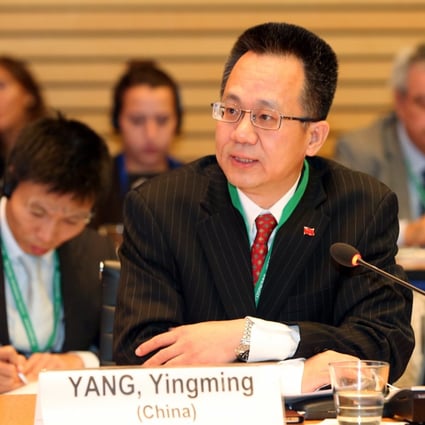 Yang Yingming will head the Ministry of Finance’s international cooperation department. Photo: IISD