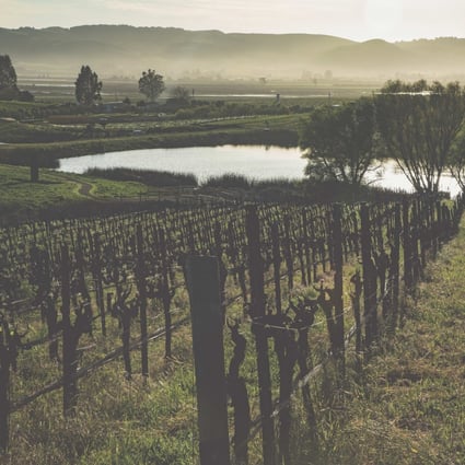 The Donum wine estate, in California, in the United States. Photo: The Donum Estate