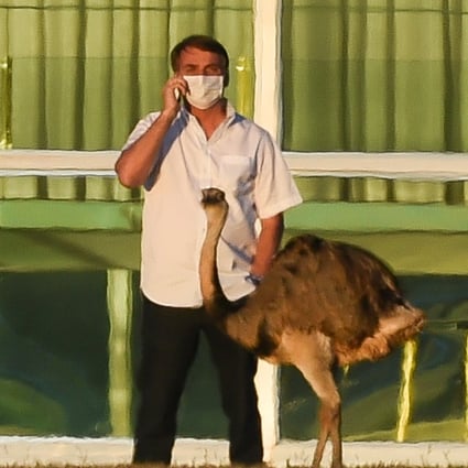 Brazilian President Jair Bolsonaro speaks on a mobile phone next to an emu outside the Alvorada Palace in Brasilia on July 13, nearly a week after he tested positive for Covid-19. Photo: AFP