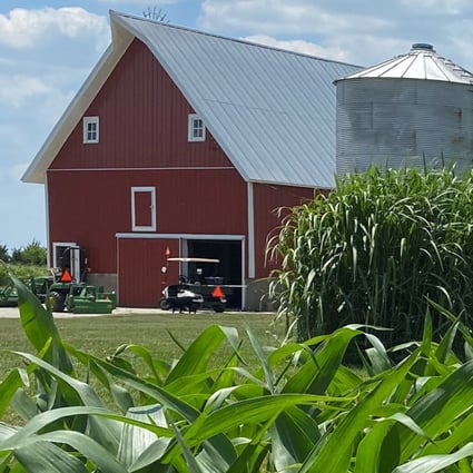 A farmer inspects corn plants in Loda, Illinois, in June. Photo: Reuters