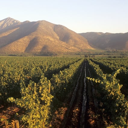Chile has successfully penetrated the Chinese wine market and is making inroads with its fruit exports. Photo: Handout
