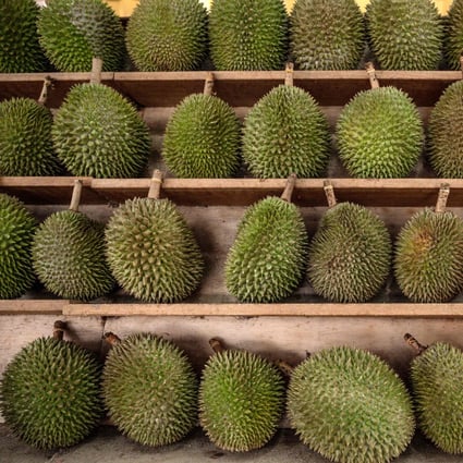 Durian sellers moved their fruit online during the lockdown, and saw hundreds of orders a day. Photo: Agence France-Presse