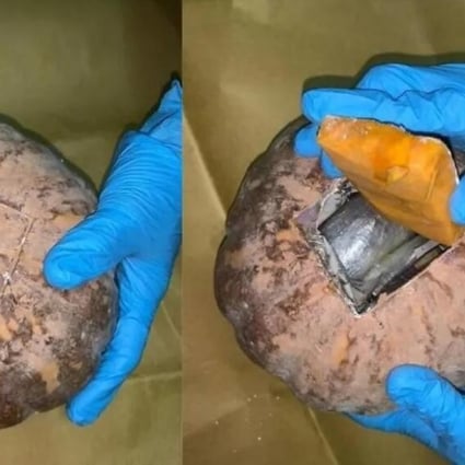 Drugs including heroin and Ecstasy tablets were found hidden in two pumpkins during a search at a Singaporean’s home. Photo: Central Narcotics Bureau /Today Online