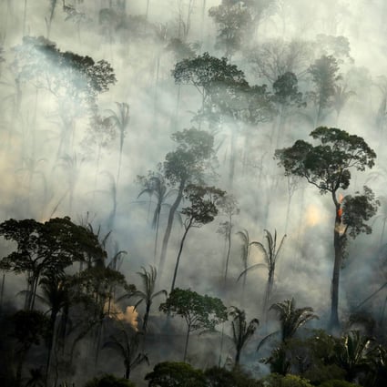 Global warming is the cause of many extreme weather related events including forest fires. Companies are doing their bit by investing in green solutions to reduce the carbon impact on the environment. Photo: Reuters