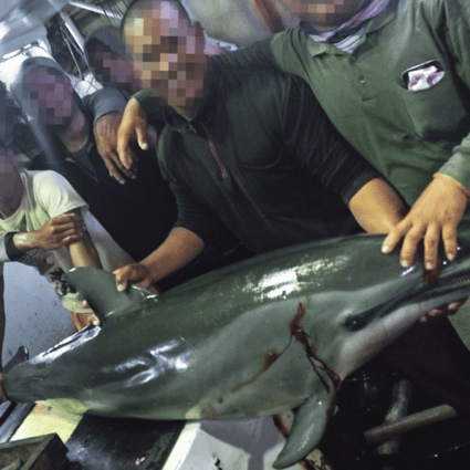 Indonesian crew with an illegally killed dolphin aboard a Taiwanese vessel. Photo: Handout/Environmental Justice Foundation