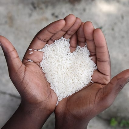 South Korea’s Rural Development Administration hopes its Headeul and Alchanmi rice will prove more popular than their Japanese counterparts. Photo: Shutterstock