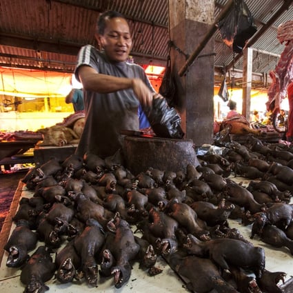 Smoked Bats on a market stall in Tomohon, Indonesia. Photo: AFP