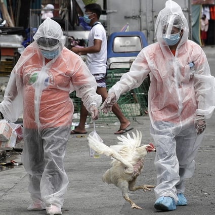 The World Health Organisation has said it sees no evidence of coronavirus being spread by food or packaging. Photo: AP