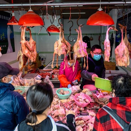China slaughtered 9.3 billion chickens last year, including 4.4 billion white-feathered broilers, favoured by fast-food chains for cheap, plump meat. Photo: AFP