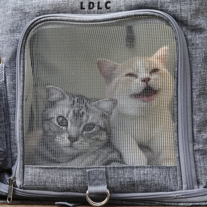 south china morning post