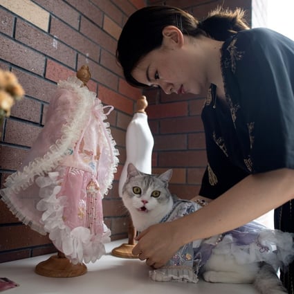 Wu Qiuqiao puts a Hanfu gown on her cat Liu Liu at her house in Changsha, in China's central Hunan province. Photo: Noel Celis/AFP