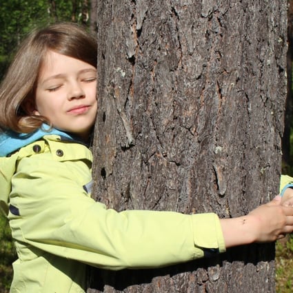 A girl hugs a tree at the first Tree-hugging World Championships in the HaliPuu Forest, Levi, Finland. Photo: Eat Shoot Drive
