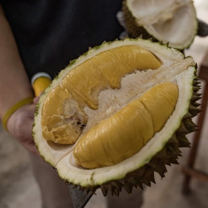 Maoshanwang durian, also known as Musang King, is prized for its flavour and texture. Photo: AFP