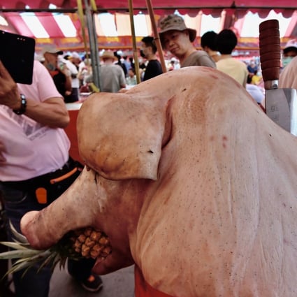 Taiwan S Polarising Pig Festival Draws Fewer And Smaller Sacrifices As Animal Rights Activists Change Attitudes South China Morning Post Pig Festival Carlsbad 2022