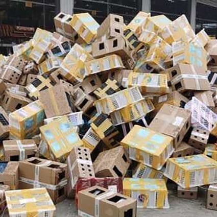 The animals had been transported in boxes and dumped at the Dongxing logistics hub in Luohe, Henan. Photo: Weibo