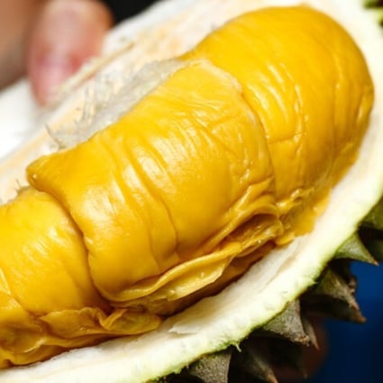 Musang King durian is also known as ‘Mao Shan Wang’ or ‘Sleeping Cat’ after the shape of the freshly opened fruit. Photo: Handout