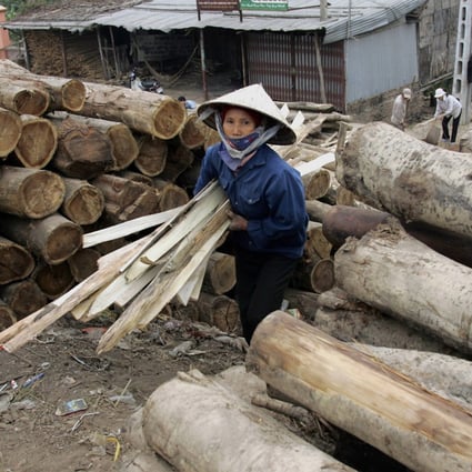 The US has launched two trade probes against Vietnam for the use of timber that has been allegedly illegally harvested or traded, and currency manipulation. Photo: AFP