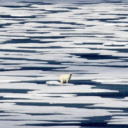 The Arctic plays a key role in the global ecosystem and experts hope that the research will shine a light on climate change. Photo: AP