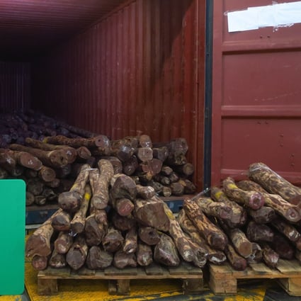 A haul of nearly 10 tonnes of endangered red sandalwood was seized by Hong Kong customs on Thursday. Photo: Handout