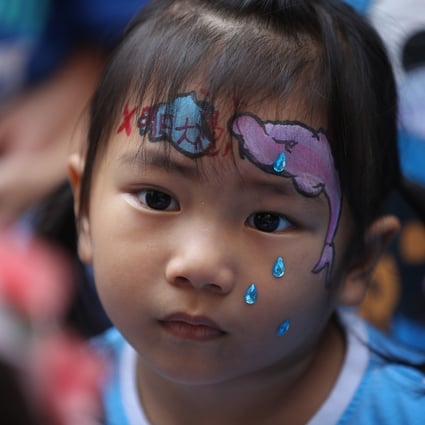 A girl protesting against the Lantau reclamation project sports a painting of an island and a pink dolphin on her forehead on October 14, 2018. Photo: Edward Wong