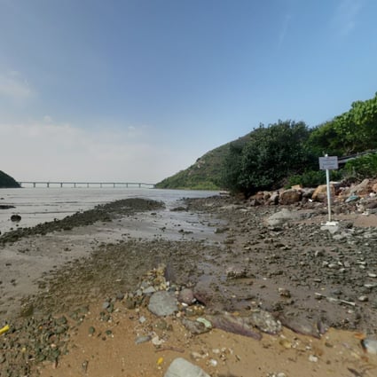 A cage containing the carcasses of two dogs was found washed up on a beach in Lantau Island’s Sham Wat. Photo: Google Map