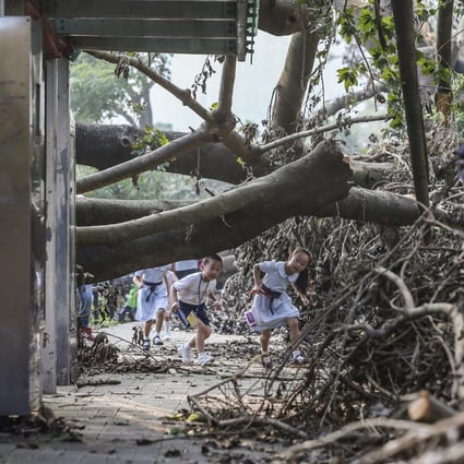 Hong Kong children make their way through trees felled by Typhoon Mangkhut, in Sheung Shui on September 20, 2018. Typhoon Mangkhut, which required the signal No 10 to stay in place for 10 hours on September 16, was the most powerful storm to hit the city since records began in 1946. Photo: Sam Tsang