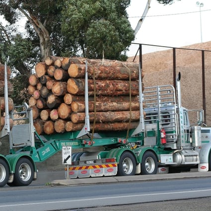 Last week, importers in China were verbally advised to avoid purchases of seven Australian products, including log timber, as tensions between the two countries increased. Photo: Shutterstock